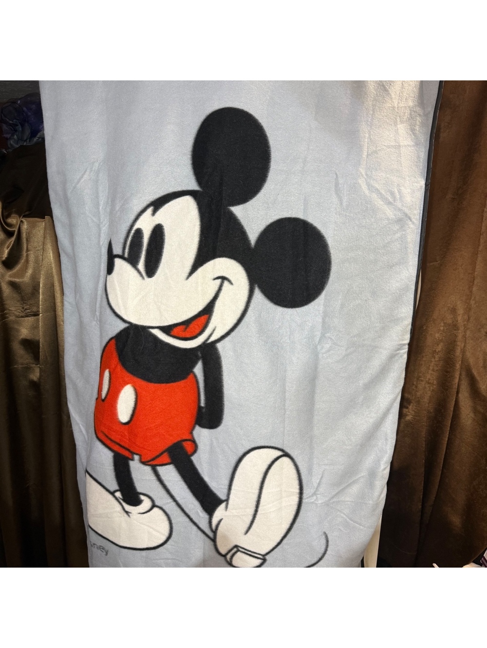 Disney Rewards Mickey Mouse Fold Up Picnic Blanket Bag Chase Visa Promo Cushion
